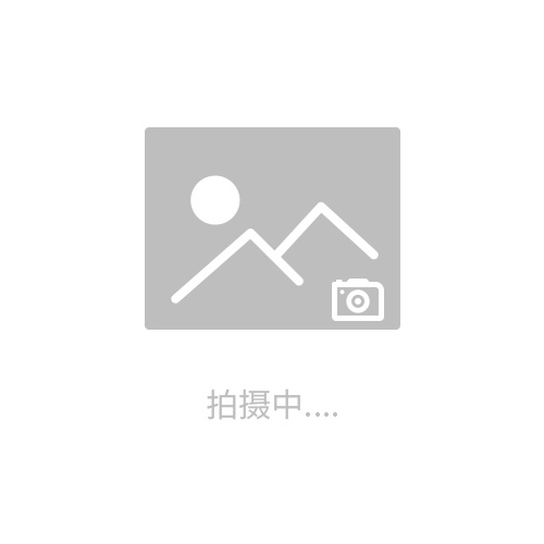 模具雕銑機